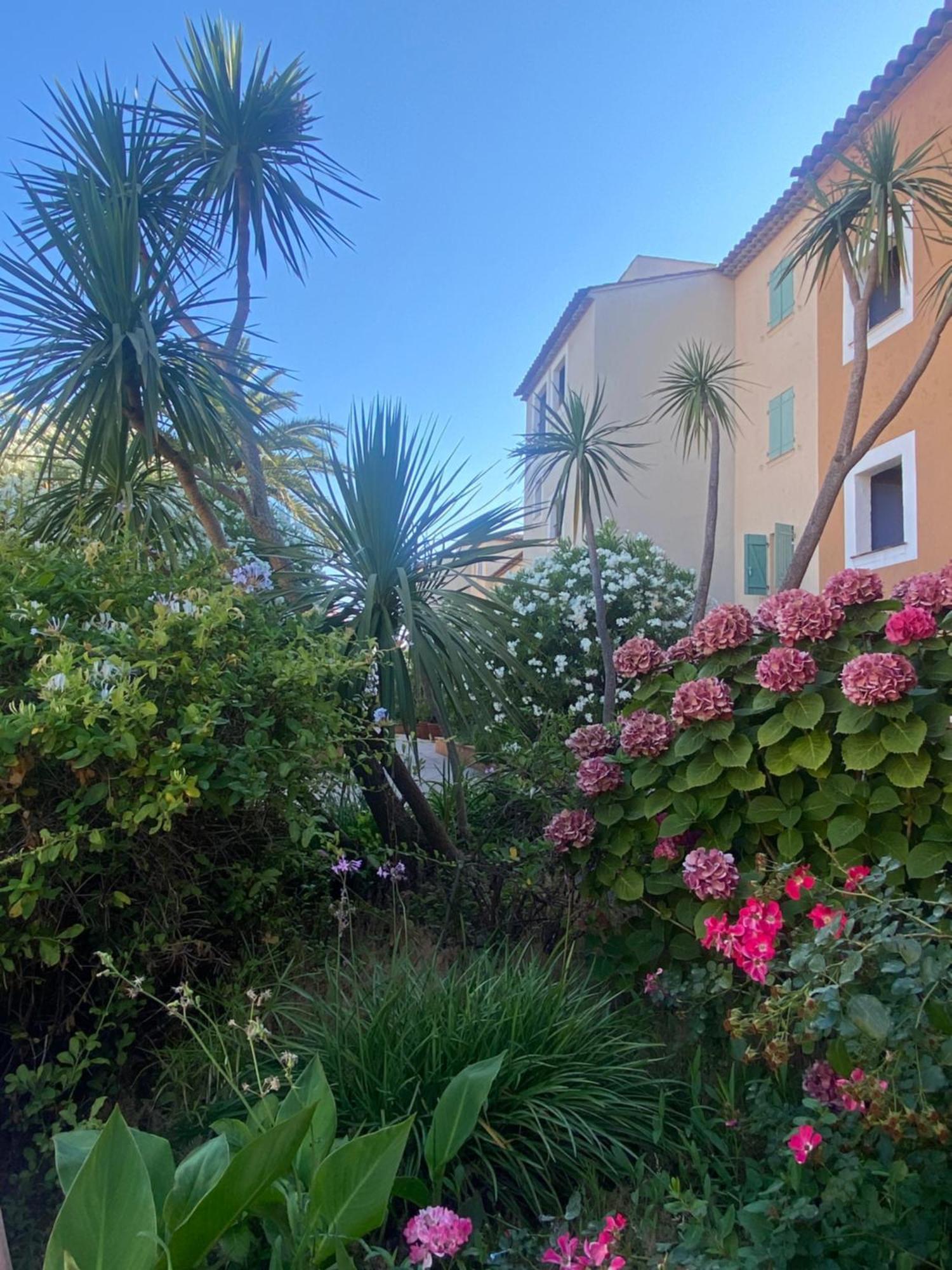 2 Bedrooms, 15 Min Walk To Beach, Ac, Pool & Fiber Internet In A Quiet, Private Gated Domain 5Kms To St Tropez Cogolin Dış mekan fotoğraf