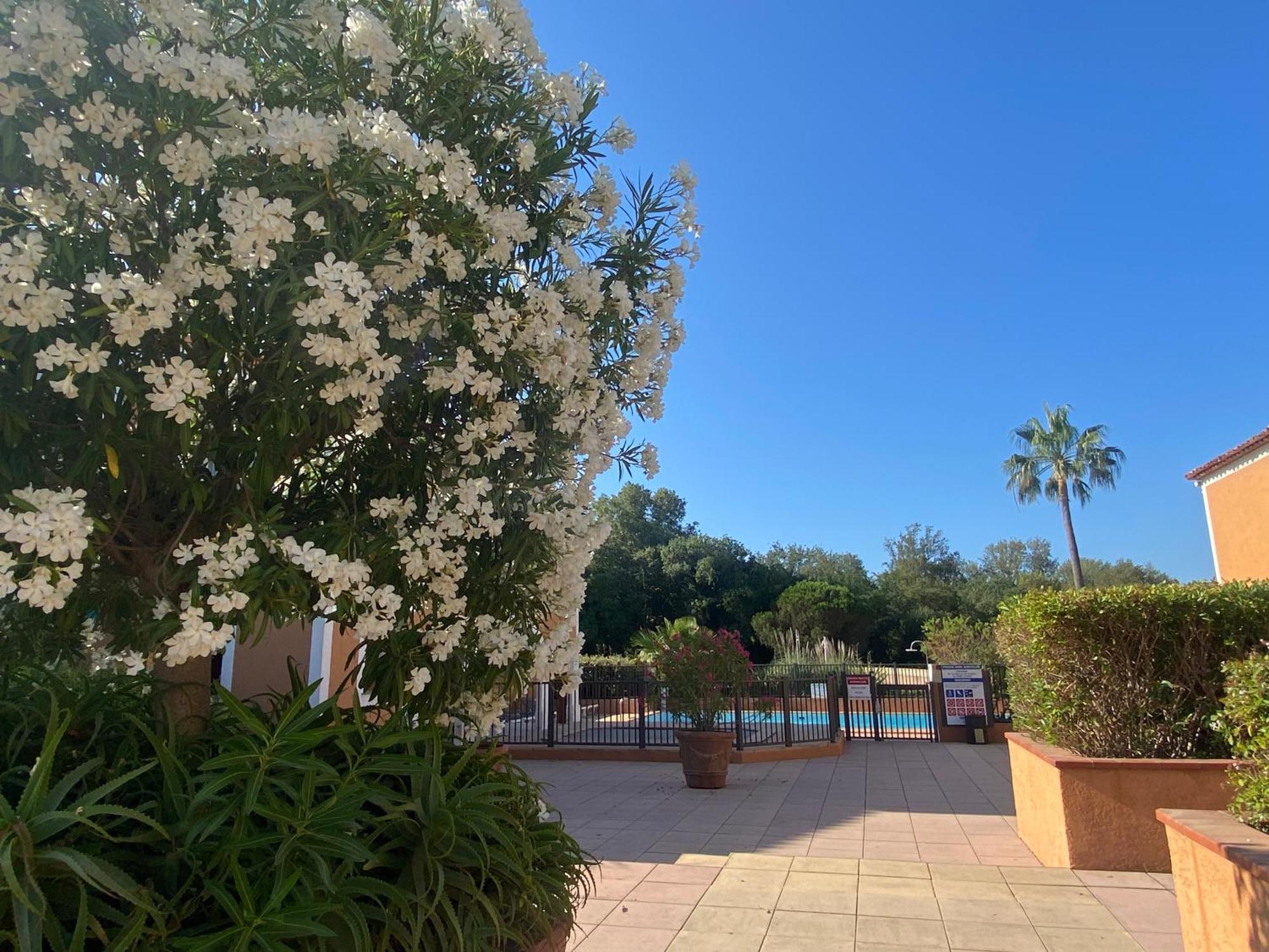 2 Bedrooms, 15 Min Walk To Beach, Ac, Pool & Fiber Internet In A Quiet, Private Gated Domain 5Kms To St Tropez Cogolin Dış mekan fotoğraf